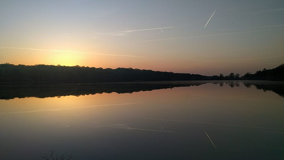 Etang n